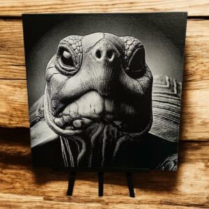 Gravure sur toiles - Tortue de terre