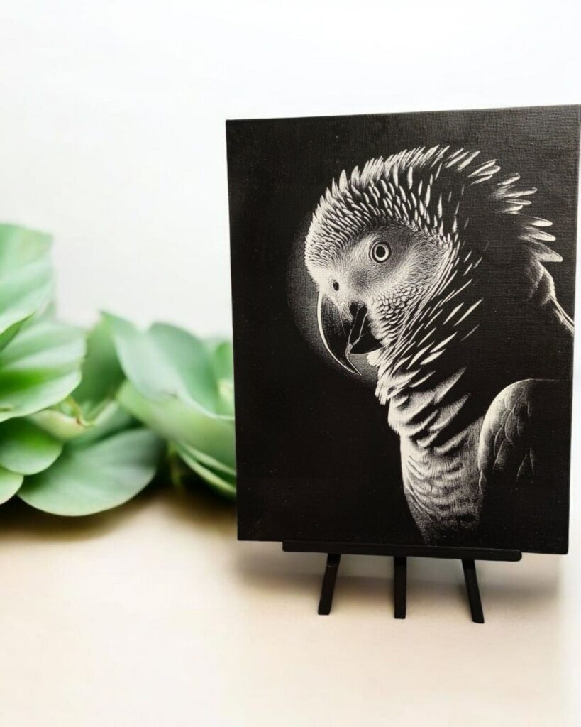 492562418_1089928183162858_6661588713989600174_n