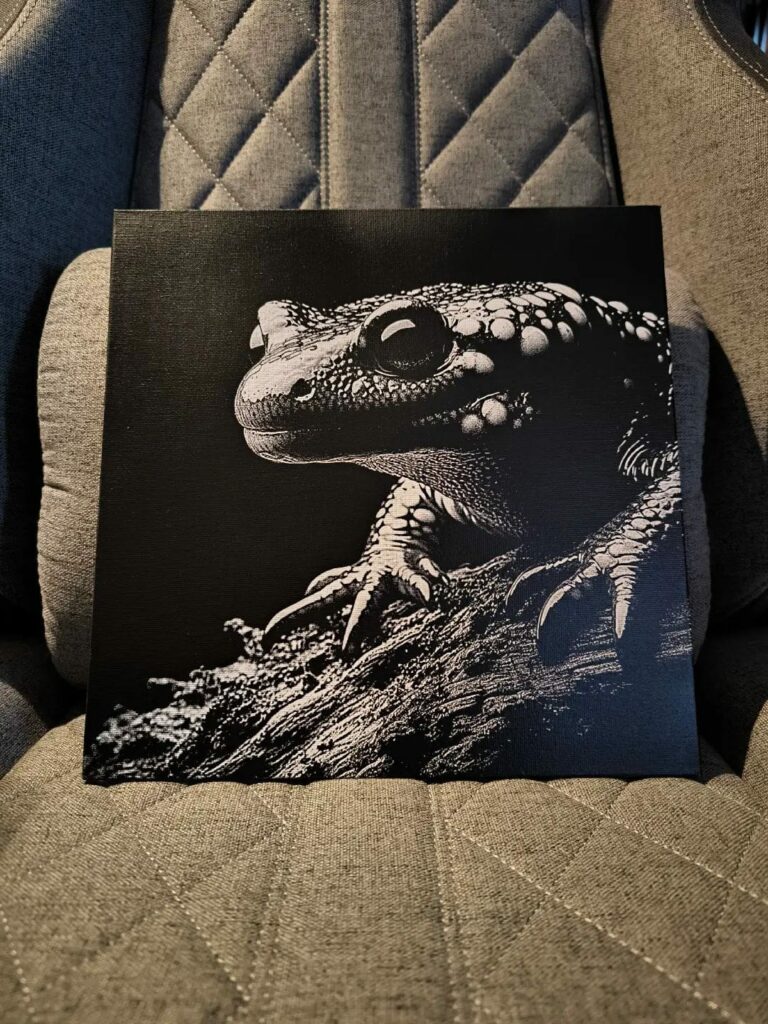 WhatsApp Image 2026-01-23 at 11.44.37 (5)