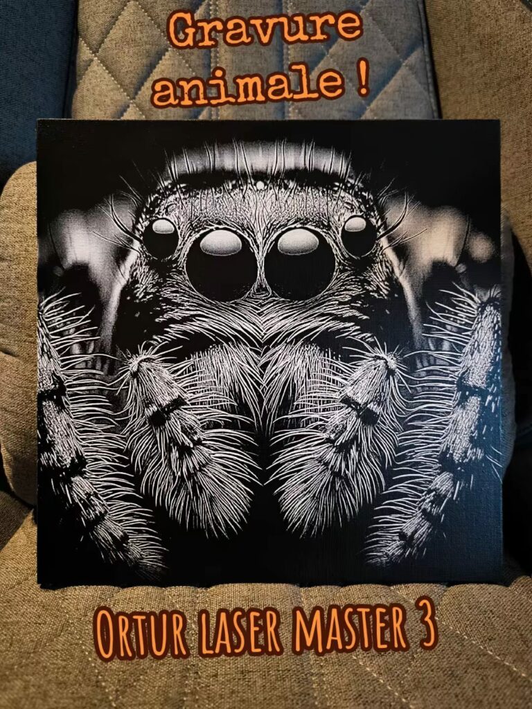 WhatsApp Image 2026-01-23 at 11.44.38 (2)