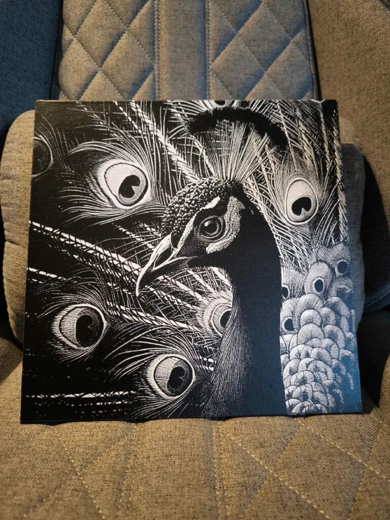 WhatsApp Image 2026-01-23 at 11.44.38 (4)