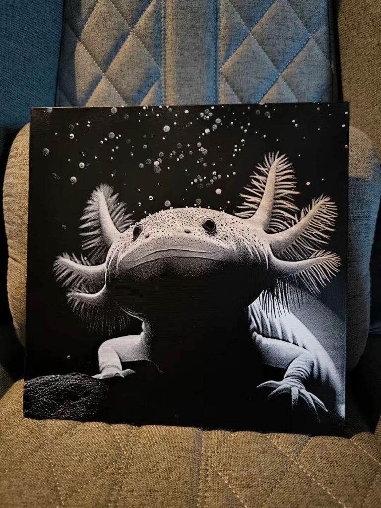 WhatsApp Image 2026-01-23 at 11.44.38